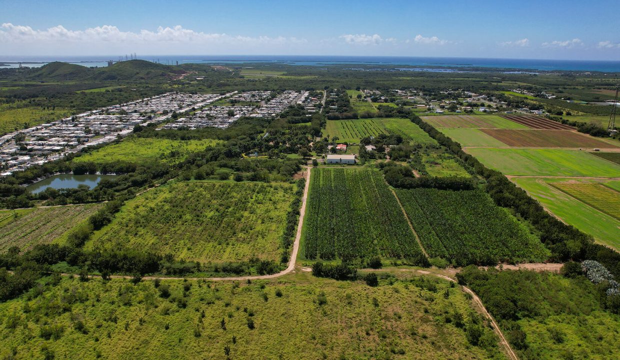 DJI_0855