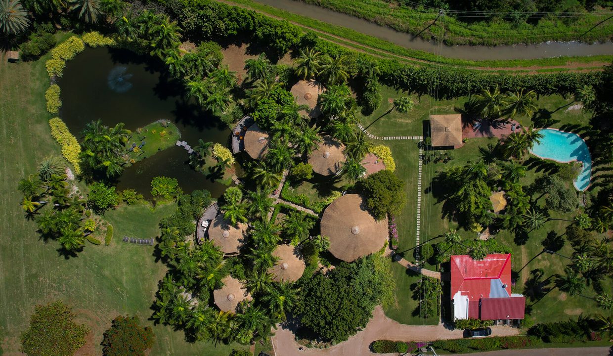 DJI_0866