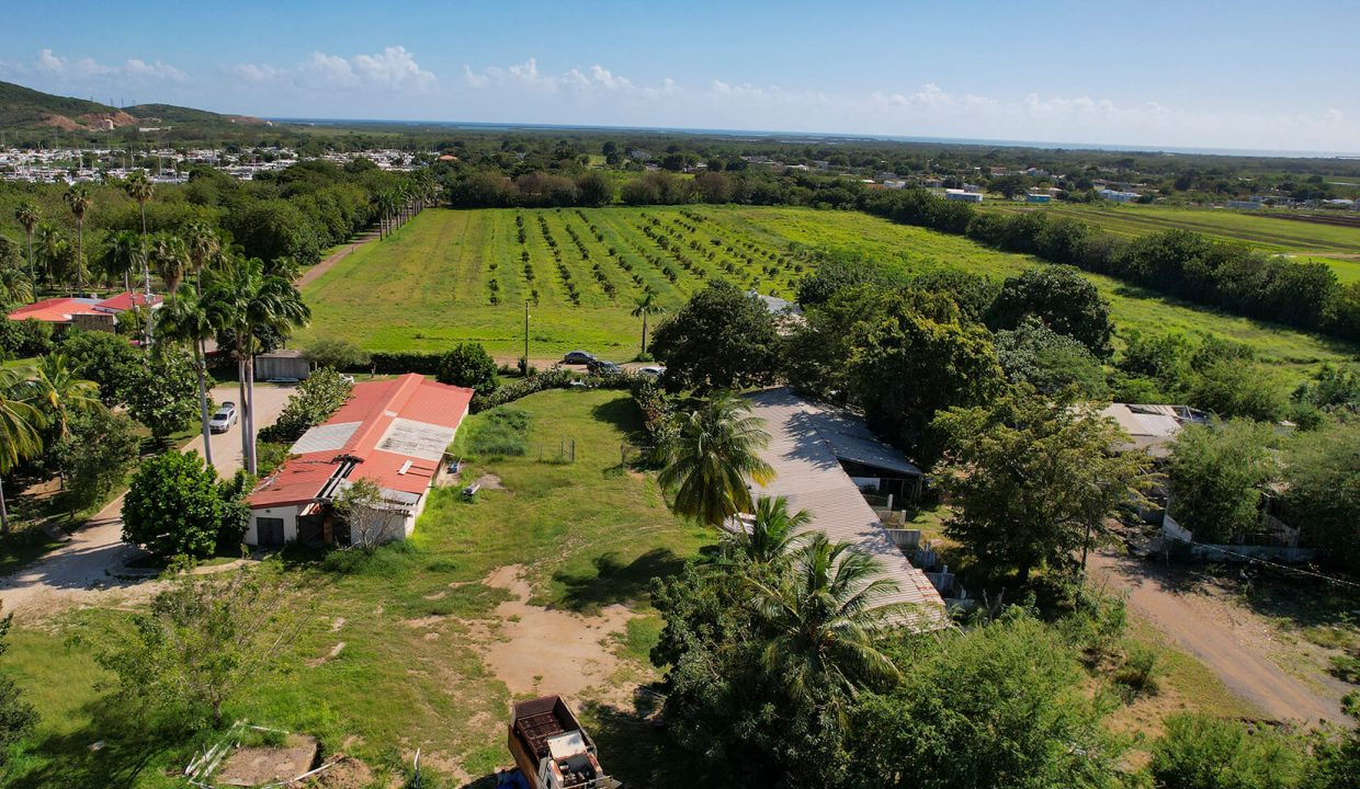 DJI_0886