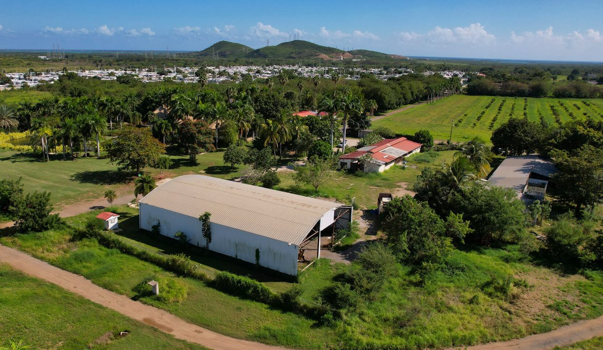 DJI_0889